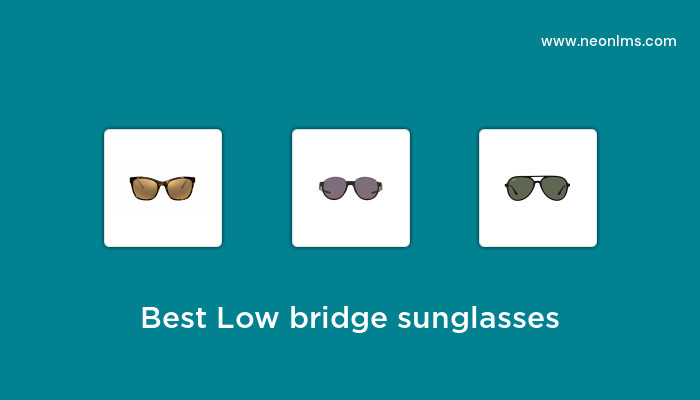 Best Selling Low Bridge Sunglasses of 2023